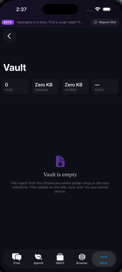 Encrypted personal vault